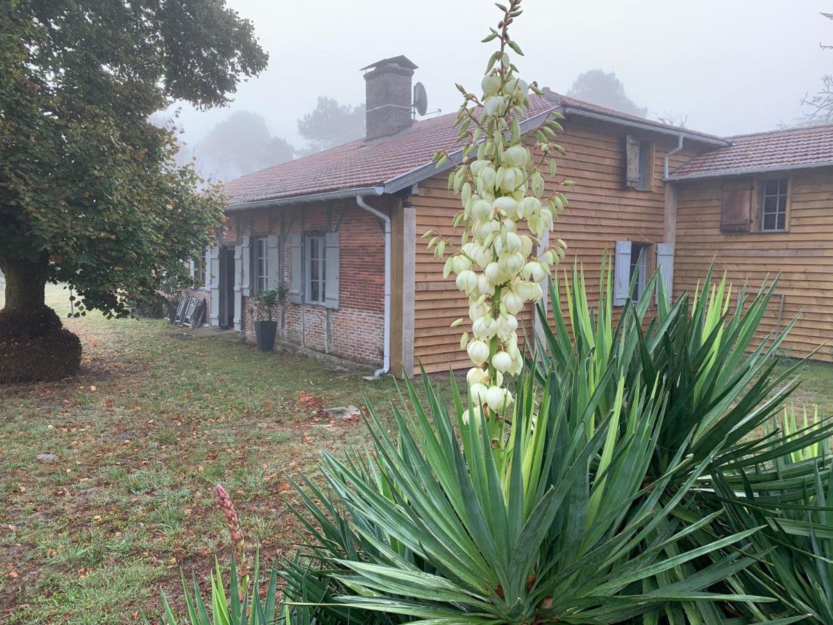 Maison Magnolia Onesse-et-Laharie Luaran gambar