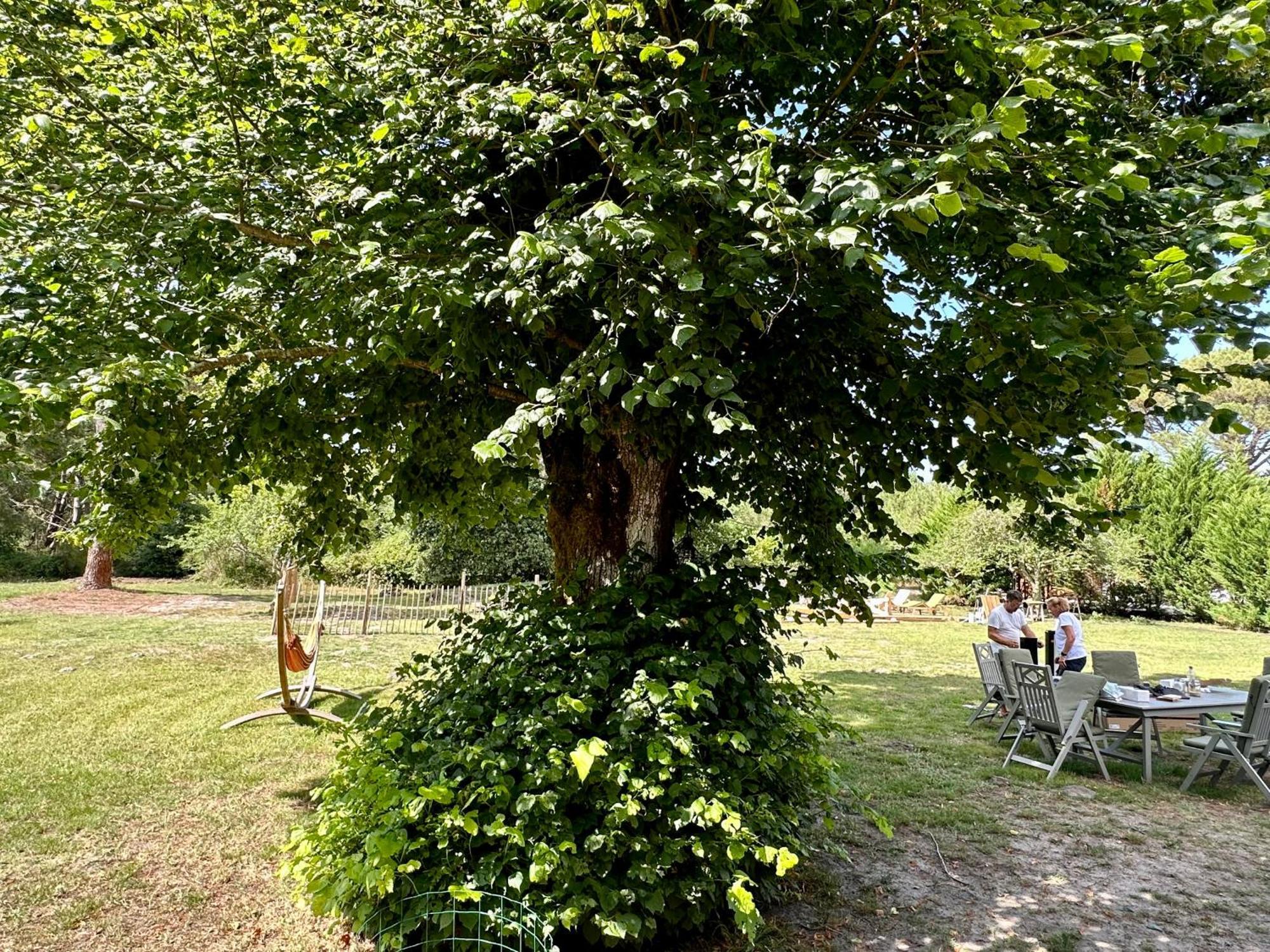 Maison Magnolia Onesse-et-Laharie Luaran gambar