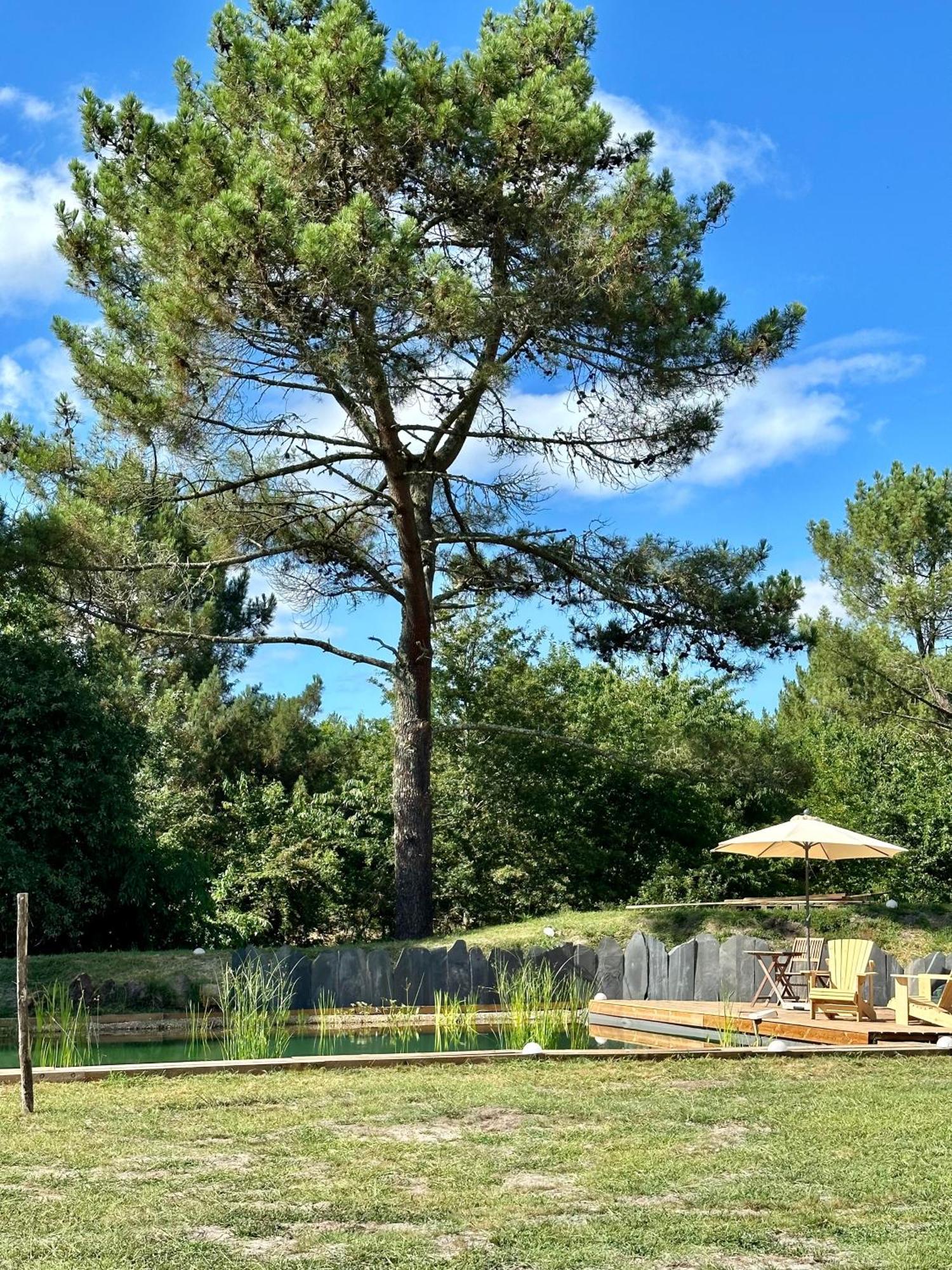 Maison Magnolia Onesse-et-Laharie Luaran gambar